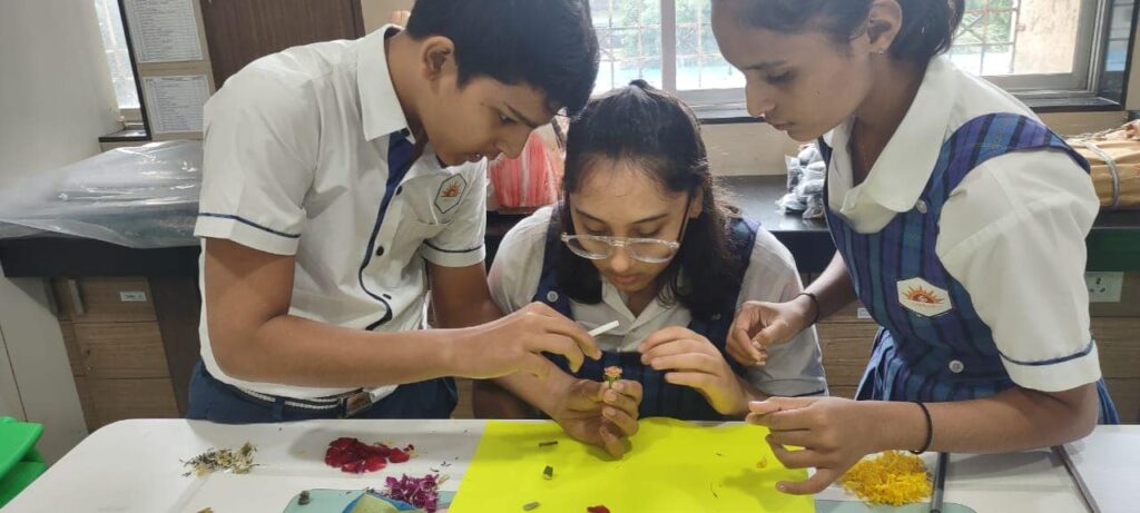 Grade 10 – Reflecting upon concept of pollination in biology class.