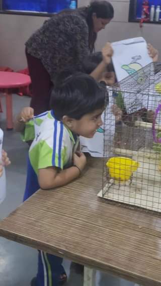 Our Bird friends visited our Preschool Classes today – To connect with nature , develop observation skills , silent communication , Learning new words# connect with nature# observation skills.
