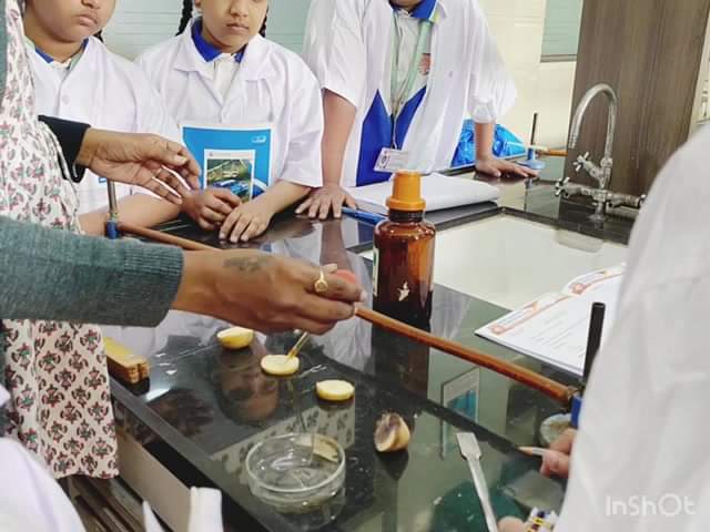 Young learners are inquiring minds so best way to teach science is exploring it in lab practically.